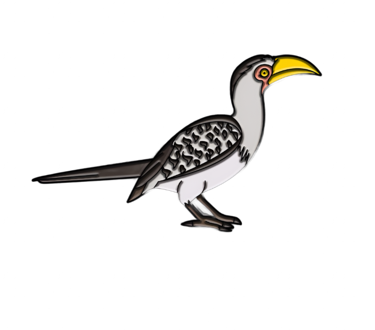 Yellow-Billed Hornbill Pin