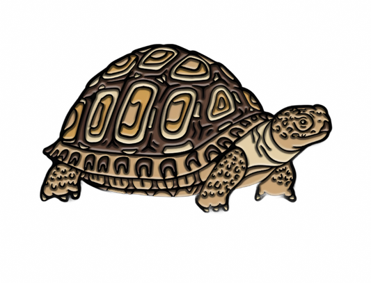 Leopard Tortoise Pin