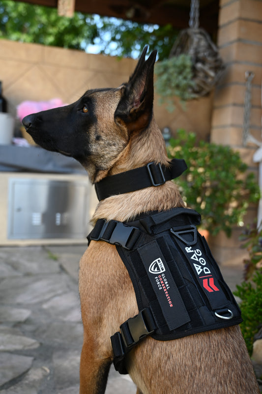 War Dog x GCF K9 "Ghost Harness"