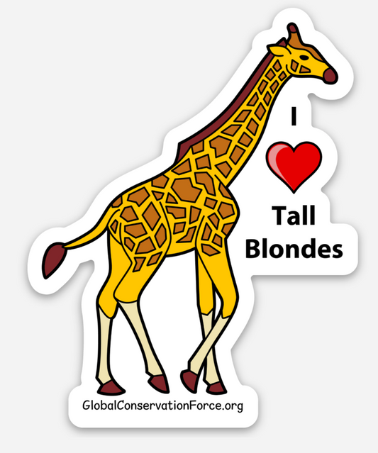 I Love Tall Blondes (Giraffe) - Vinyl Die Cut Sticker