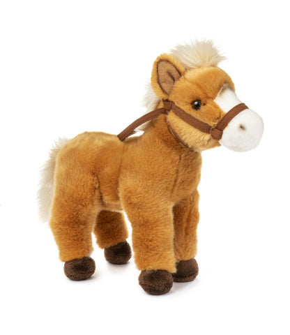 Horse Adoption Kit