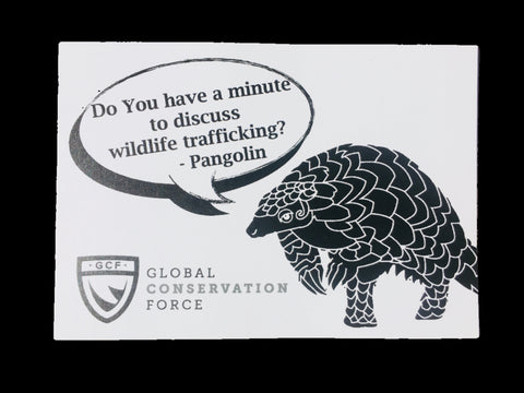 “Pangolin Discusses Trafficking” Sticker